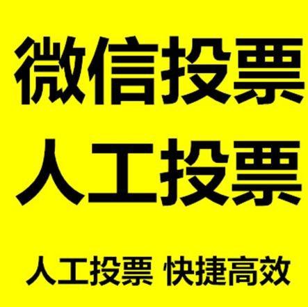 河池市投票活动拉票能被查出来吗？如何操作能不被发现？